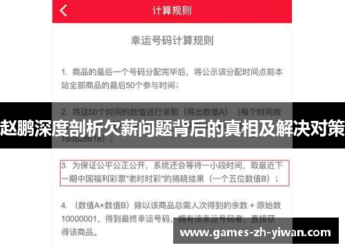赵鹏深度剖析欠薪问题背后的真相及解决对策 赵鹏深度剖析欠薪问题背后的真相及解决对策