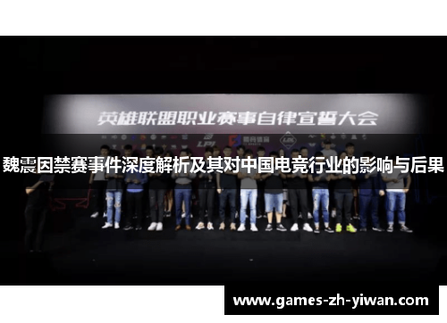 魏震因禁赛事件深度解析及其对中国电竞行业的影响与后果 魏震因禁赛事件深度解析及其对中国电竞行业的影响与后果